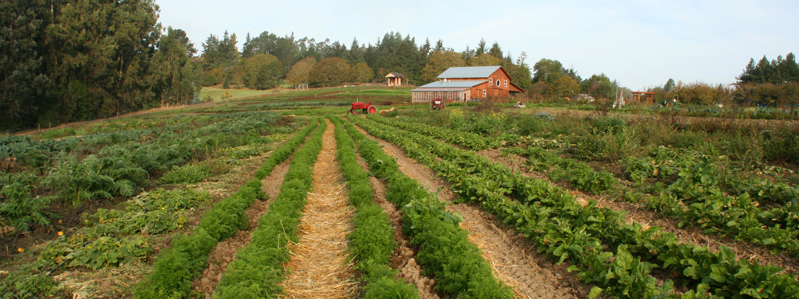 French Garden Farm